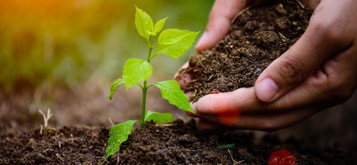 Produtores rurais de Vila Velha vão participar de evento de Agroecologia