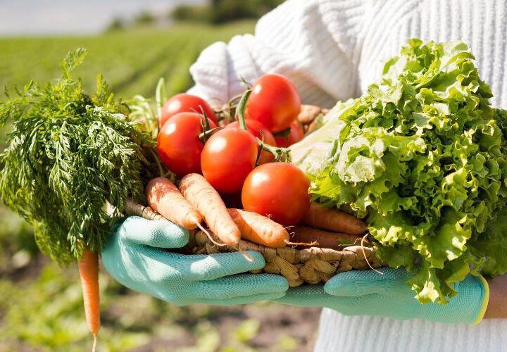 Prefeitura lança iniciativa para fortalecer produtores rurais e garantir segurança alimentar