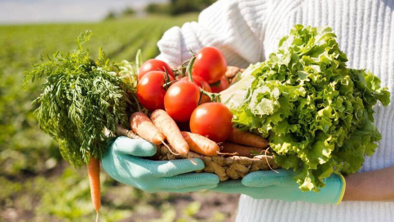 Prefeitura lança iniciativa para fortalecer produtores rurais e garantir segurança alimentar