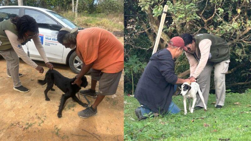 Campanha antirrábica alcança 1.500 cães e gatos na zona rural de Vila Velha