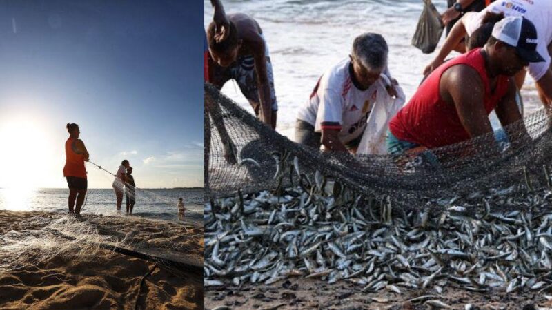 Semana do Pescado 2025 impulsiona mercado e incentiva consumo no Espírito Santo