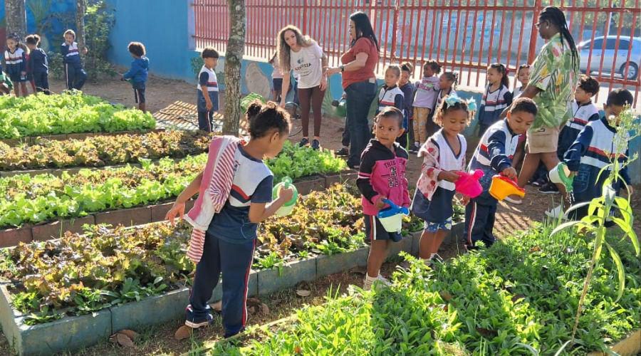Horta escolar será colhida por alunos e familiares nesta quinta-feira