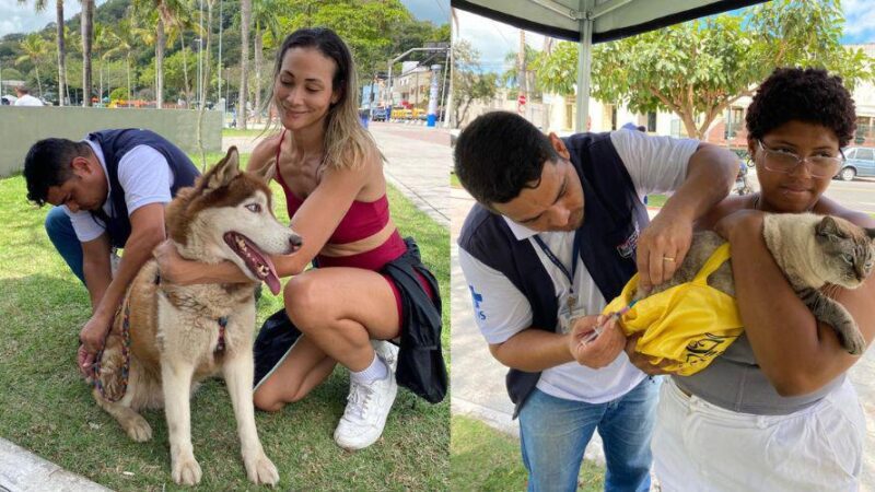Sábado tem nova etapa da vacinação antirrábica em diversos bairros