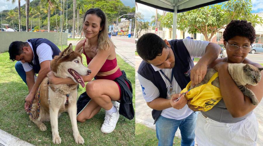 Sábado tem nova etapa da vacinação antirrábica em diversos bairros