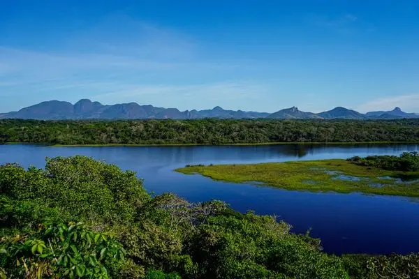 Parque Paulo César Vinha pode ganhar novas áreas de ampliação; veja locais previstos