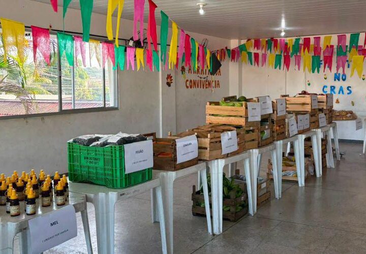 Cestas Verdes amplia variedade de alimentos com inclusão de mel, acerola e milho-verde
