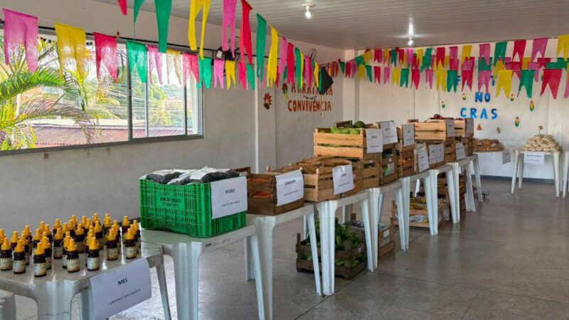 Cestas Verdes amplia variedade de alimentos com inclusão de mel, acerola e milho-verde