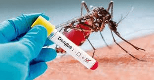 Sesa divulga 37° boletim epidemiológico de dengue, zika e chikungunya