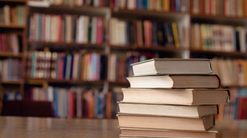 Volta às aulas: bibliotecas municipais de Vila Velha retomam as atividades