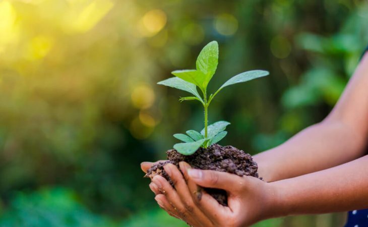 Dia Mundial do Meio Ambiente é comemorado com ações realizadas pela educação