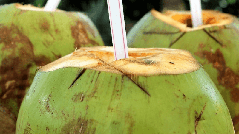 Vendedores de coco recebem orientações para o descarte correto dos resíduos