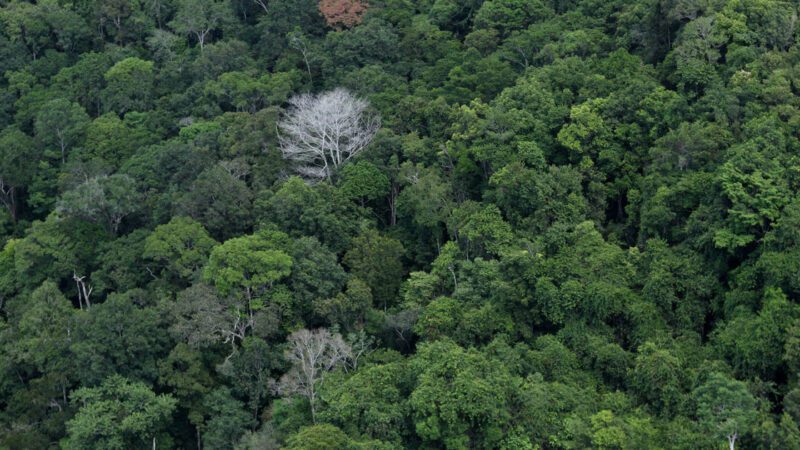 Novo projeto do Parque Urbano Sítio Batalha é aprensetado pela prefeitura