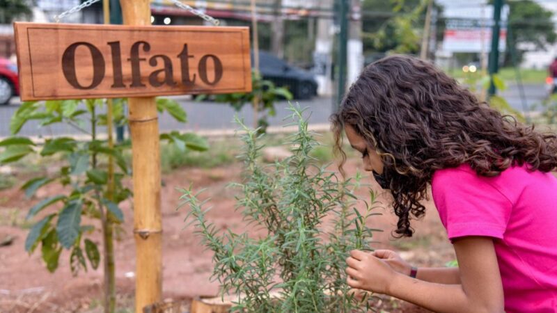 Jardim Sensorial: Alunos de Vila Velha desenvolvem atividades em escola municipal