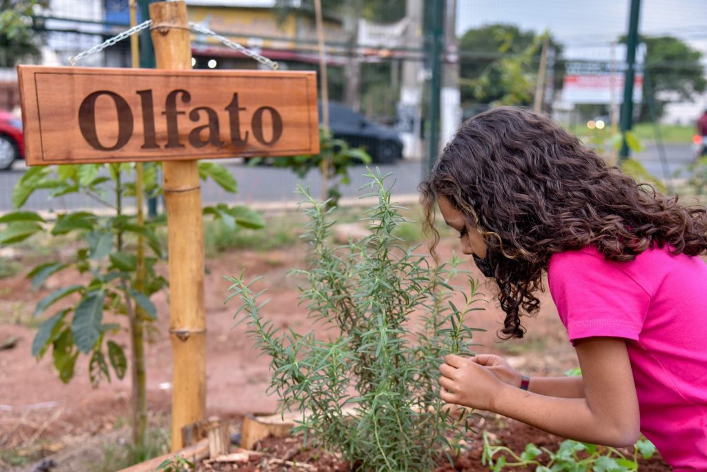 Jardim Sensorial: Alunos de Vila Velha desenvolvem atividades em escola municipal