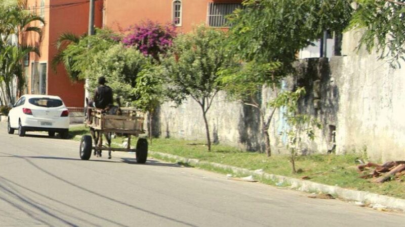 Cadastro para capacitação de carroceiros é iniciada pela PMVV