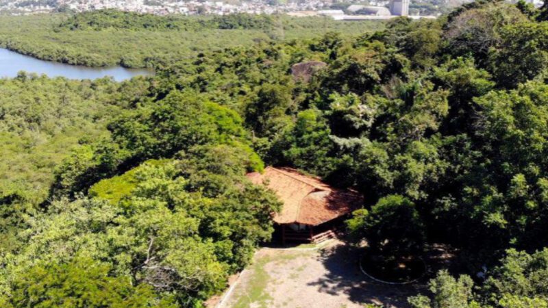 Um Dia no Parque: prefeitura de Vila Velha realiza ação no Parque da Manteigueira na terça (26)