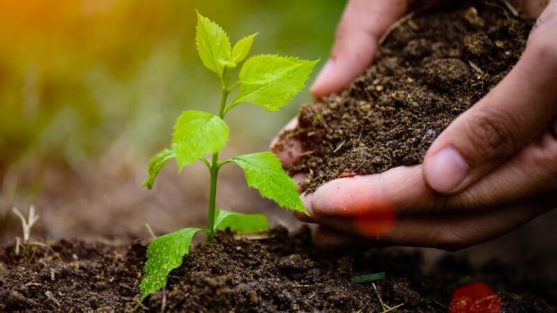 Produtores rurais de Vila Velha vão participar de evento de Agroecologia