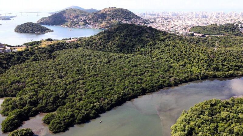 Vila Velha celebra o Dia Mundial de Proteção aos Manguezais e enaltece suas riquezas naturais