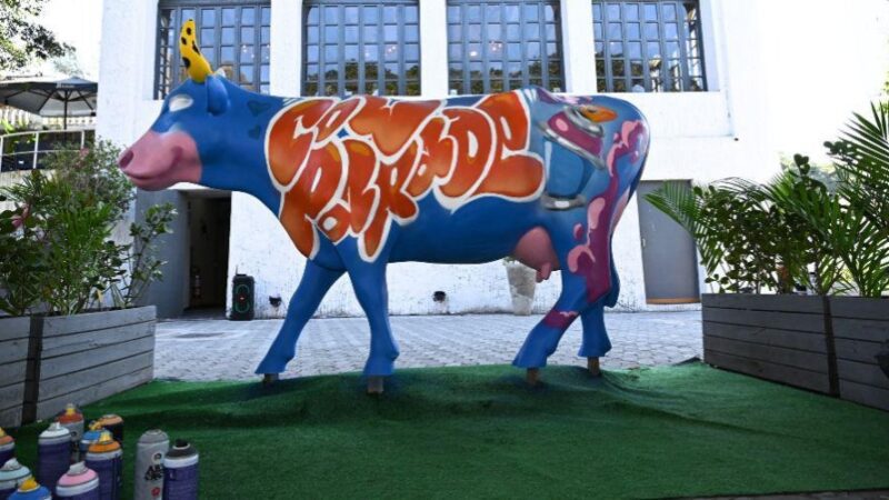 CowParade seleciona 12 artistas de Vila Velha para participação