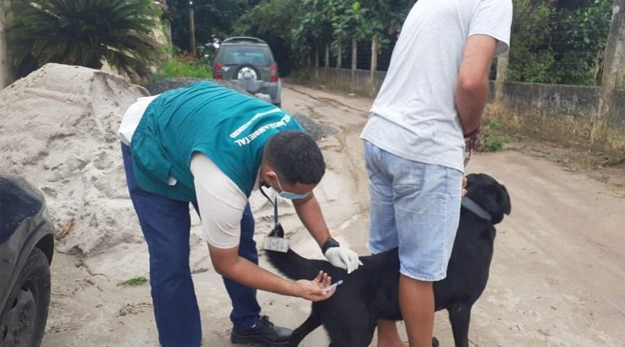 Campanha de vacinação antirrábica começa em Vila Velha neste sábado (16)