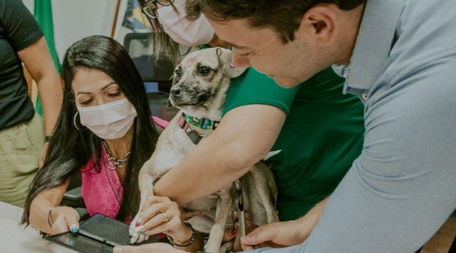 Programa de Castração de Pets em Vila Velha: Uma Iniciativa que Transforma Vidas