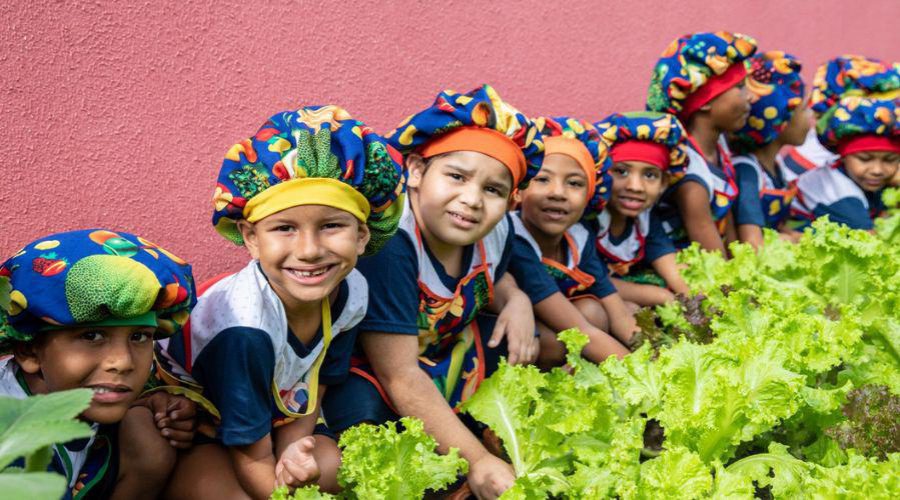 Projeto de hortas pedagógicas deverá ser ampliado neste ano