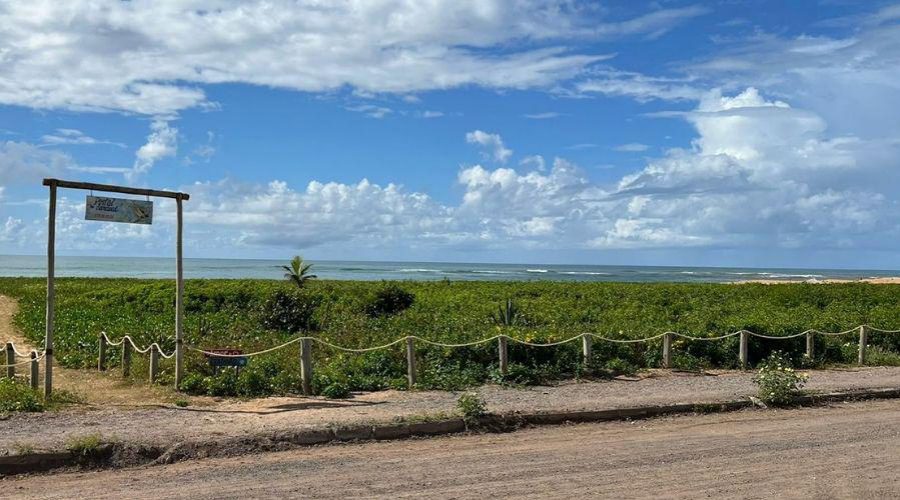 Prefeitura faz ações de conservação e proteção das restingas da Ponta da Fruta