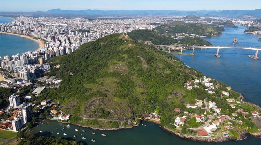 Campanha Junho Verde 2024 terá o plantio de 50 mil mudas de árvores