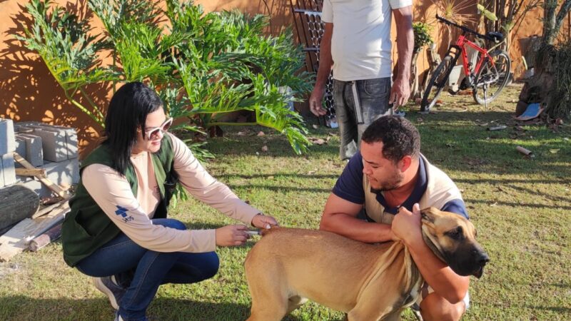 Zona Rural de Vila Velha recebe vacinação Antirrábica para cães e gatos