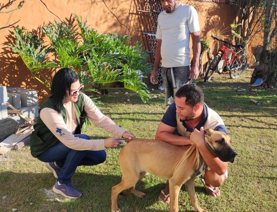 Zona Rural de Vila Velha recebe vacinação Antirrábica para cães e gatos