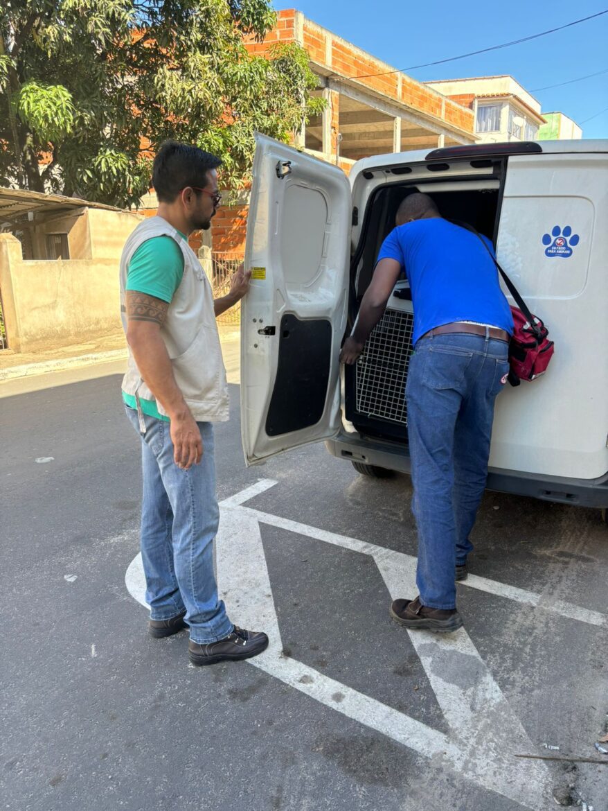 Denúncia de maus-tratos a cães é atendida pela Guarda e Bem-Estar Animal de Vila Velha