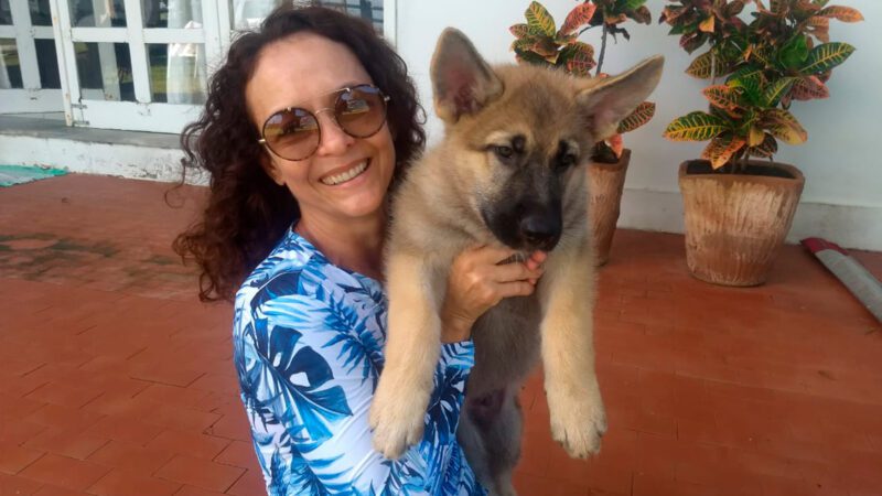 Candidata Propõe Credenciamento de Clínicas Veterinárias para Melhorar Bem-Estar Animal em Vila Velha