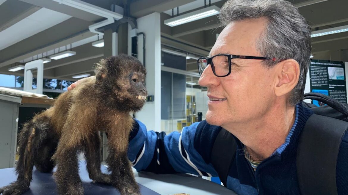 Vila Velha recebe a exposição “Moradores da Floresta” com corpo humano fatiado e fauna da Mata Atlântica