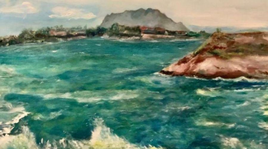 Exposição na Casa da Memória destaca a preservação da vida marinha