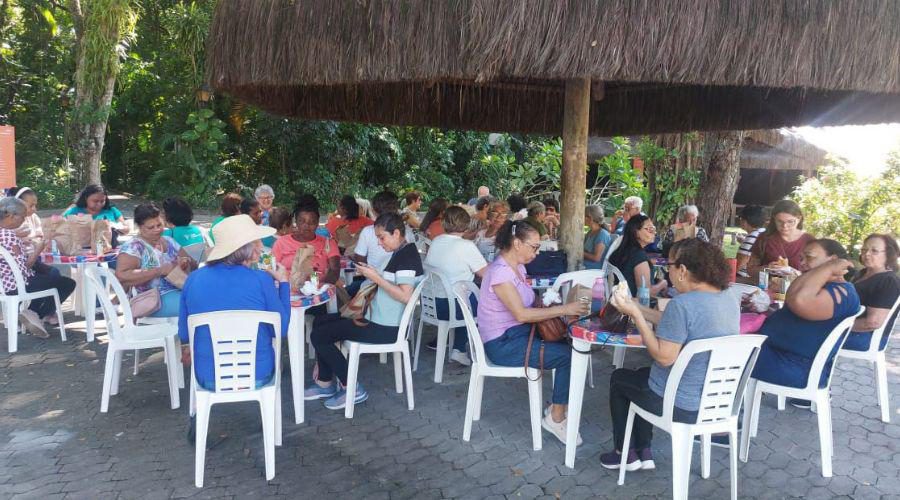 Centros de Convivência do Idoso oferecem programação especial em fevereiro