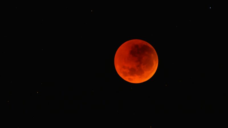 “Lua de sangue”: Saiba como ver o eclipse total (14/03)